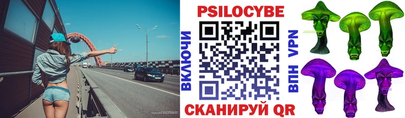 Псилоцибиновые грибы Psilocybe  Галич 